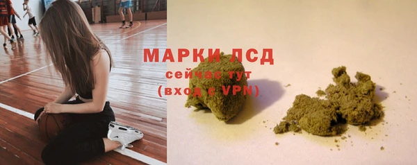 сатива Аркадак