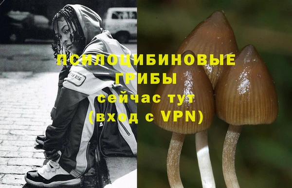 дурь Балахна