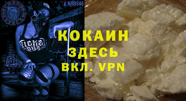 сатива Аркадак