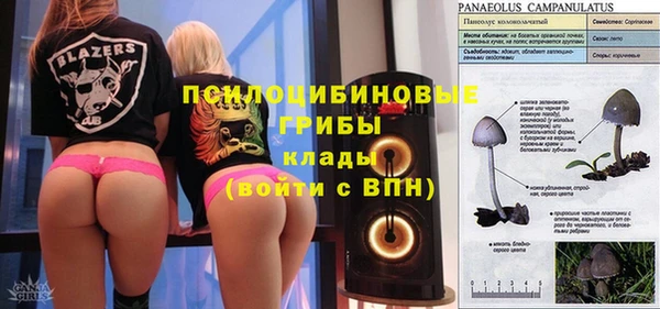 прущая мука Армянск